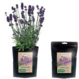 Black Pouch Kit Lavender Seebpgklav - Garden Express Australia