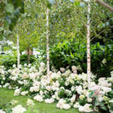 Hydrangea Sundae Fraise (Pbr)