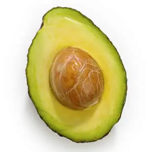 Avocado Trees Growing Guide Avocado Reed Istock - Garden Express Australia