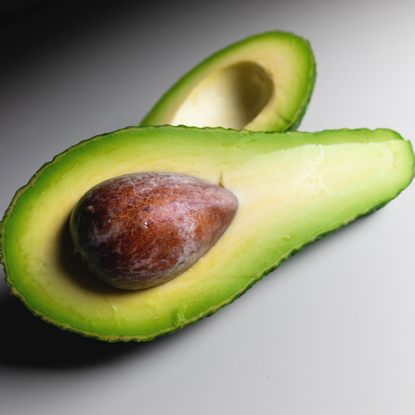 Avocado Zutano Garden Express