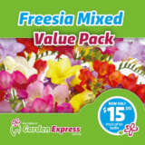 Flower Fest Value Pack – Freesia Hadeco Mixed