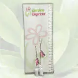 Magnolia Cameo (pbr) Magnolia Cameo (pbr)