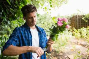 How To Care For Roses In Autumn Webp Net Resizeimage - Garden Express Australia