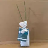 David Austin Rose Windermere (pbr) David Austin Rose Windermere (pbr)