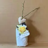 Rose Winter Sun (pbr) Rose Winter Sun (pbr)