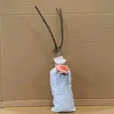 Rose Tuscan Sun (pbr) Rose Tuscan Sun (pbr)