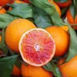 Blood Orange P20bloora - Garden Express Australia