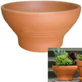 Planter Pot Terracotta Florentine Bowl 15cm Pottcfbo15 - Garden Express Australia