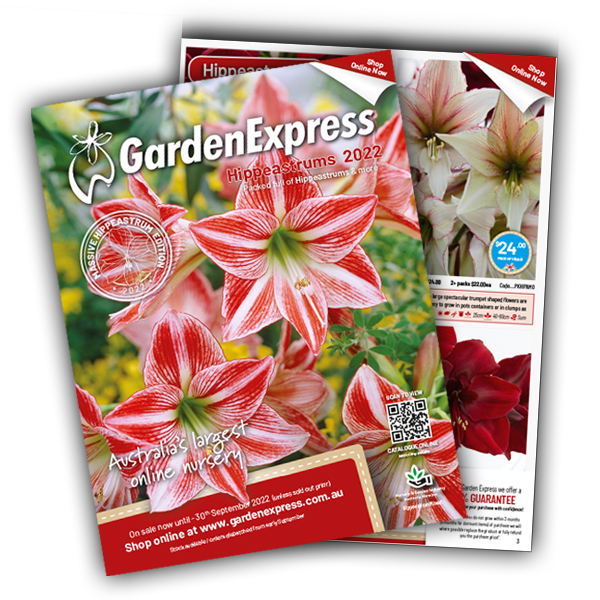 Current Catalogue Garden Express Australia's Largest Online Nursery