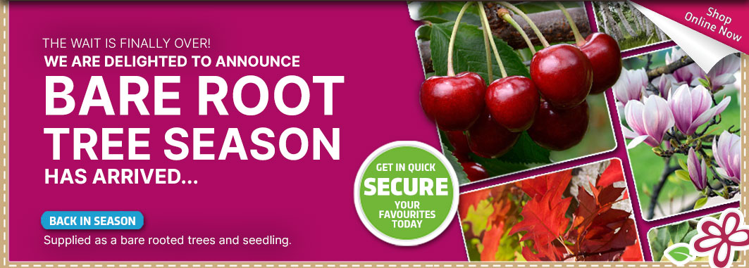 2026 Bare Root Trees - Garden Express Australia