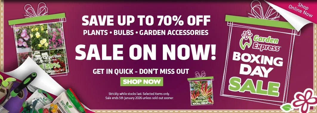 Boxing Day Sale ON NOW - Garden Express Australia