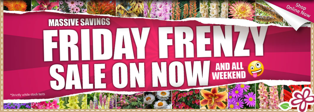 Friday Frenzy Sale On Now - Garden Express Australia