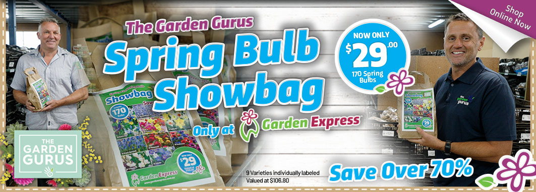 Gurus Spring Bulb Showbags - Garden Express Australia