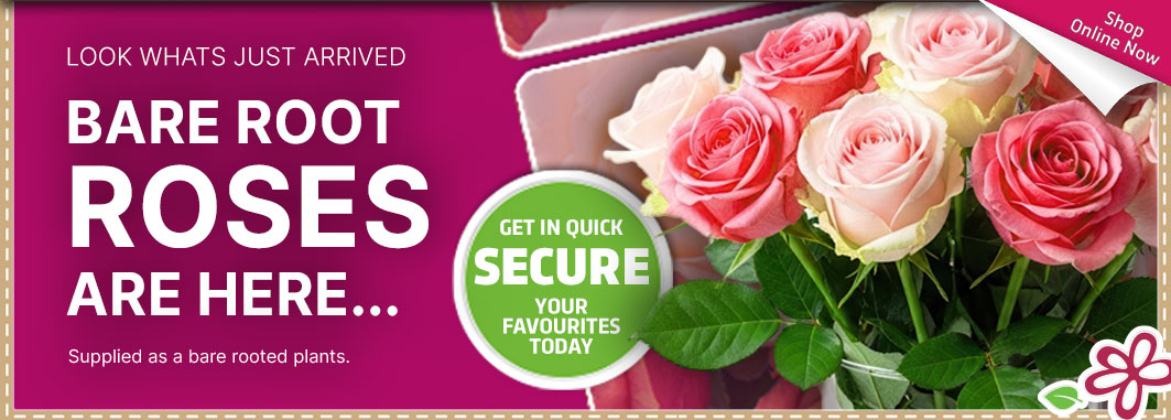 Roses Season 2026 - Garden Express Australia