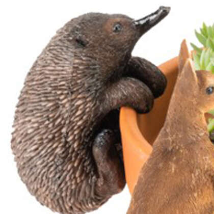 Aussie Animals Pot Sitter Echidna Gacaaapse - Garden Express Australia