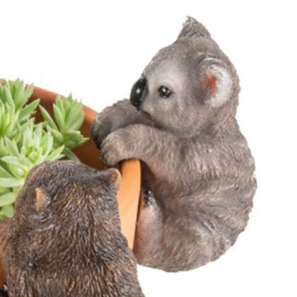 Aussie Animals Pot Sitter Koala Gacaaapsk - Garden Express Australia