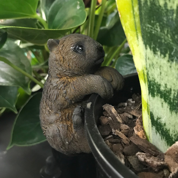 Aussie Animals Pot Sitter- Wombat