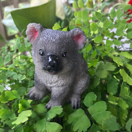 Aussie Animals Pot Stick Koala - Garden Express Australia