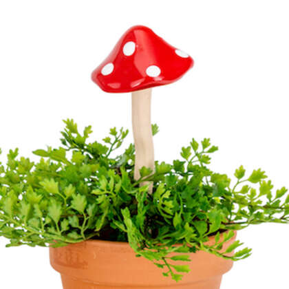 Ceramic Mushroom Red Small Gacacmsml - Garden Express Australia