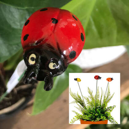 Ladybird On Stick Red - Garden Express Australia