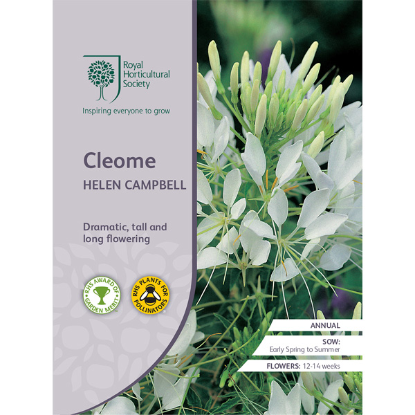 Seed – Rhs Cleome Helen Campbell