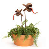 Rusted Stake- Carnivorous Plant Small