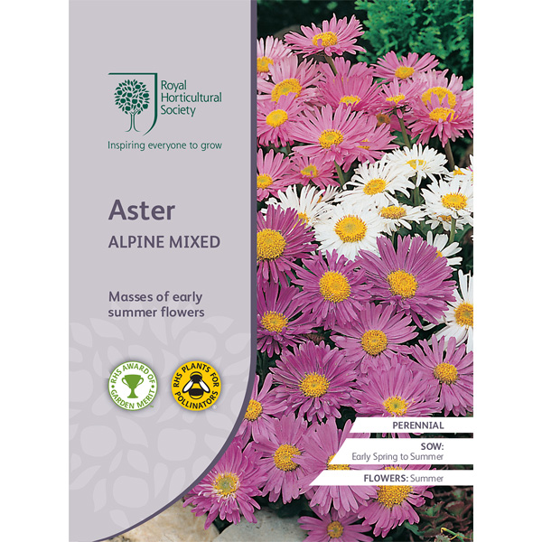Seed – Rhs Aster Alpine Mxed