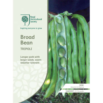 Seed Rhs Broad Bean Tripoli Seerhsbbt - Garden Express Australia