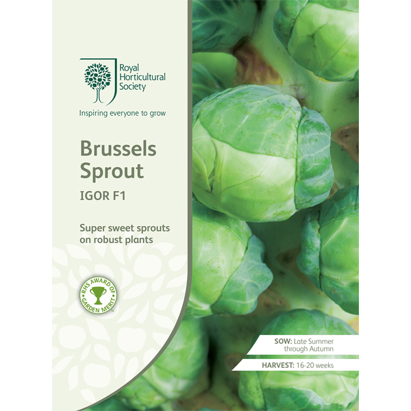 Seed – Rhs Brussels Sprouts Igor F1