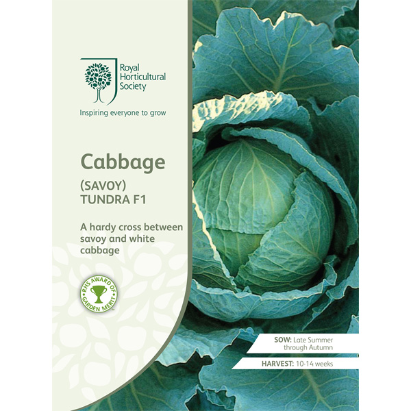 Seed – Rhs Cabbage Savoy Tundra F1