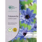 Seed Rhs Catananche Cupids Dart Seerhsccd - Garden Express Australia