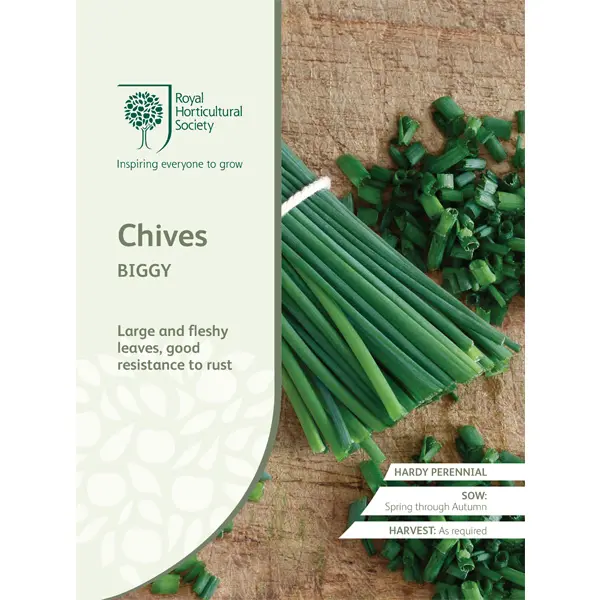 Seed – Rhs Chives Biggy