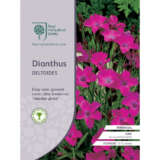 Seed Rhs Dianthus Deltoides Seerhsdid - Garden Express Australia