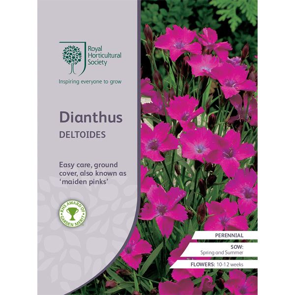 Seed – Rhs Dianthus Deltoides