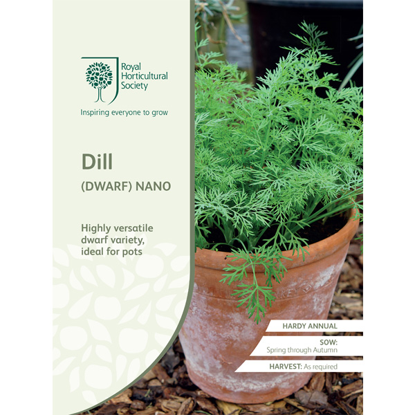 Seed – Rhs Dill Nano Dwarf