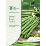 Seed Rhs Dwarf Bean Domino Seerhsbddm - Garden Express Australia