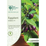 Seed Rhs Eggplant Kaberi F1 Seerhseka - Garden Express Australia