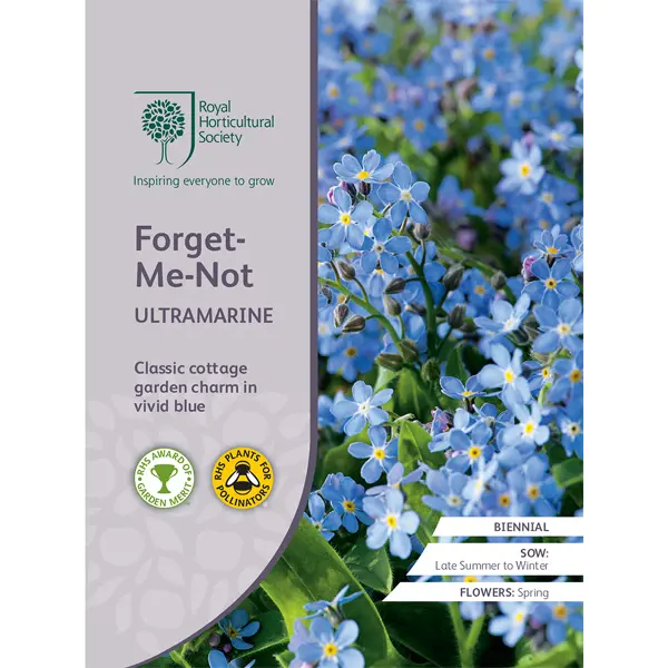 Seed – Rhs Forget-me-not Ultramarine