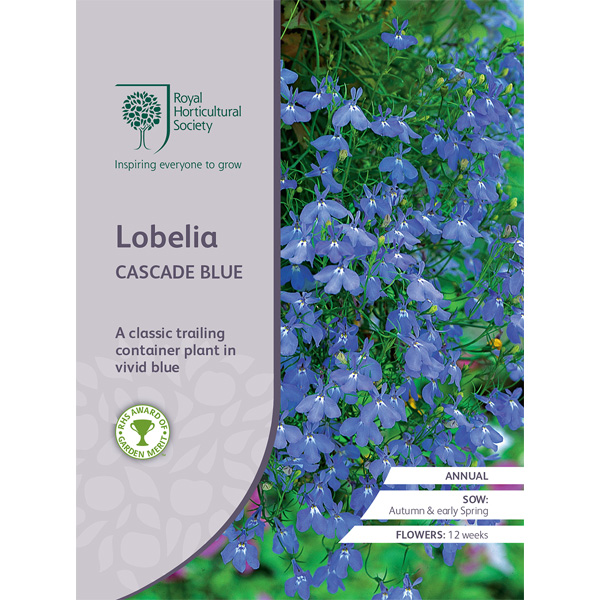 Seed – Rhs Lobelia Cascade Blue