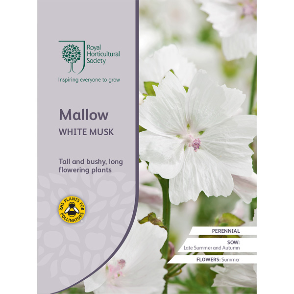 Seed – Rhs Mallow White Musk