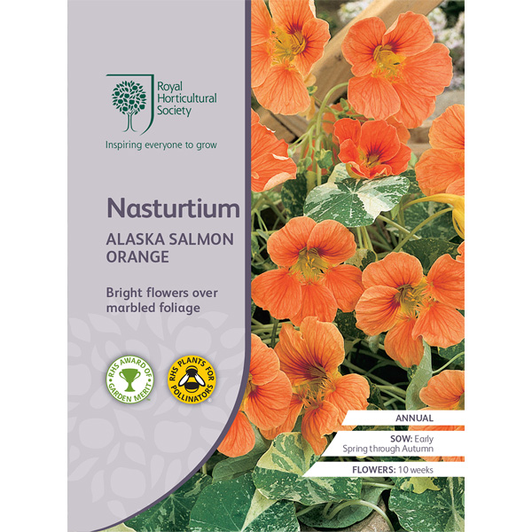 Seed – Rhs Nasturtium Alaska Salmon Orange