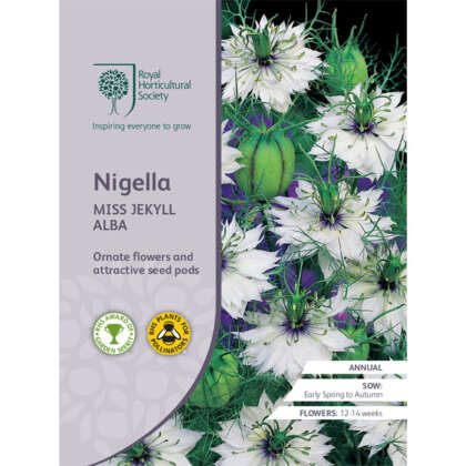 Seed Rhs Nigella Miss Jekyll Alba Seerhsnmja - Garden Express Australia