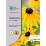 Seed Rhs Rudbeckia Goldsturm Seerhsrgm - Garden Express Australia