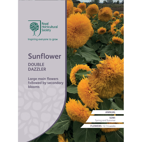 Seed – Rhs Sunflower Double Dazzler
