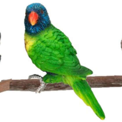 Aussie Birds Pot Sitter Lorikeet Gacaabpsl - Garden Express Australia