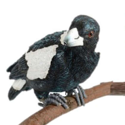 Aussie Birds Pot Sitter Magpie Gacaabpsm - Garden Express Australia