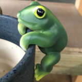 Animal Pot Sitter Frog Gacaapsfr - Garden Express Australia
