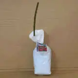 Climbing Rose Black Boy Climbing Rose Black Boy