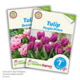 Flower Fest Last Chance 5 Selected Tulip Packs
