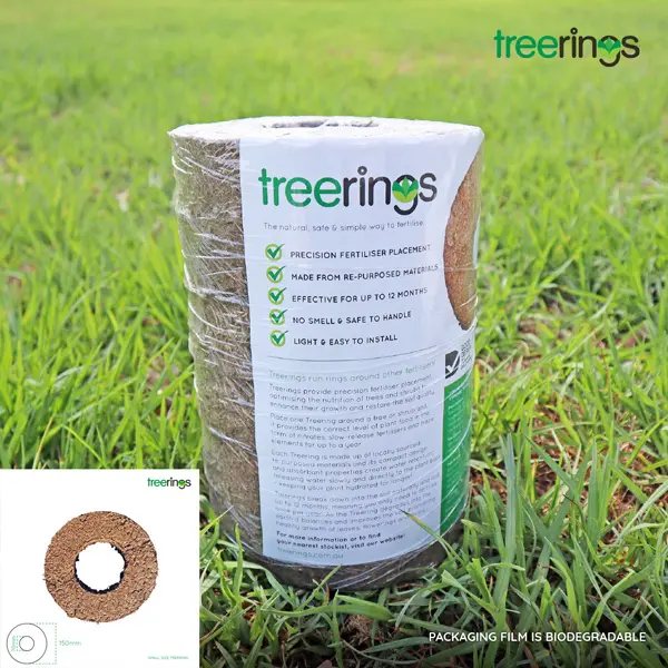 Treerings Small- Pack Of 6